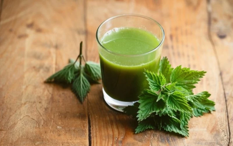 Πήγαινε στην αυλή σου, κόψ’ την, βράσ’ την, πιές την και δες τα κιλά να χάνονται – Το μαγικό βότανο που όλοι έχουμε